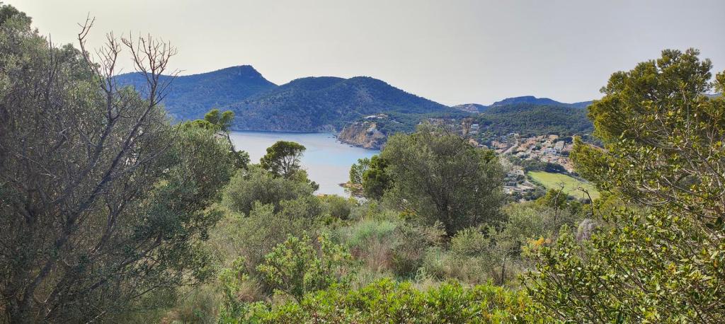 Vista panorámica de la costa Sur de Mallorca, mostrando montañas y vegetación densa con un pueblo costero en el fondo.