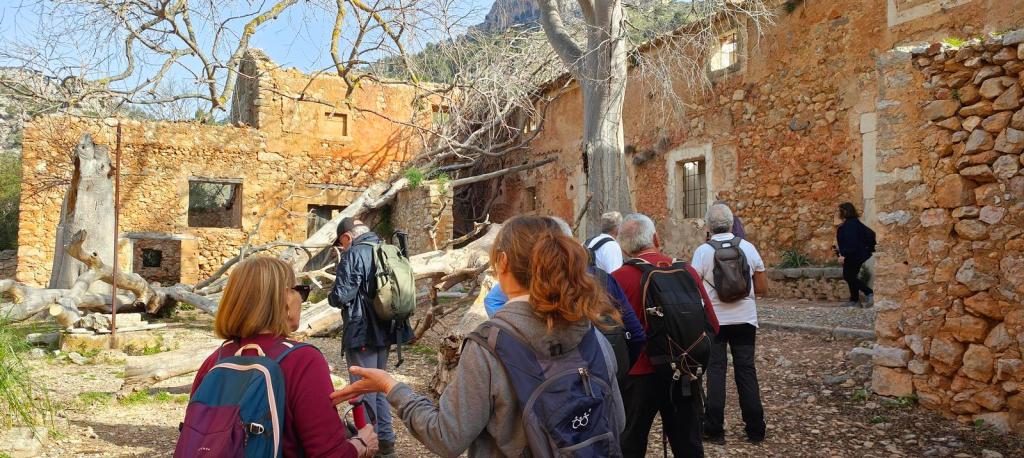 Grupo de personas explorando las ruinas de Raixeta, una antigua posesión en Mallorca, rodeados de paredes de piedra y árboles desnudos.