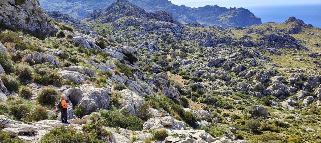 Sierra de Pedruixella - Caminando por Mallorca Un senderista con mochila y chaqueta naranja camina entre rocas y vegetación en la Sierra de Pedruixella, con vistas panorámicas del paisaje montañoso y el mar en el fondo.