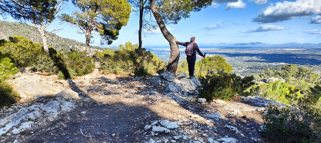 Hombre de pie en un sendero montañoso, observando el paisaje desde un mirador rodeado de árboles y vegetación.