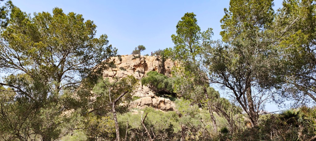 Vista del Castellot de na Marió entre árboles y vegetación en Mallorca, con un cielo despejado de fondo.