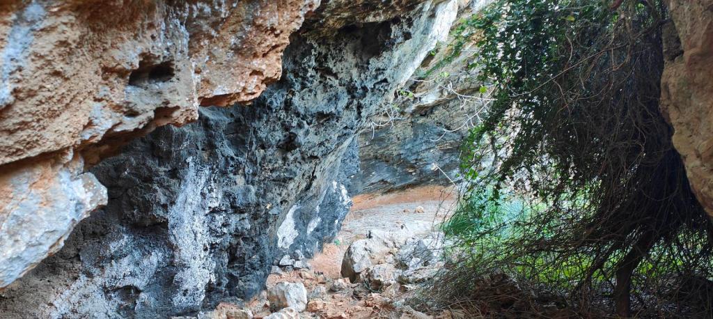 Barranc de Son Cifre - Caminando por Mallorca Vista de la cueva en el Barranc de Son Cifre, con paredes rocosas y vegetación alrededor.