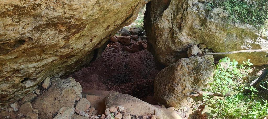 Barranc de Son Cifre - Caminando por Mallorca Vista del interior de una cueva en el barranco de Son Cifre, con rocas grandes y paredes de piedra que marcan la entrada, rodeada de vegetación.