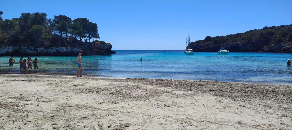 CAMÍ DE CAVALLS-Etapa10:Cap d'Artrutx-Cala Galdana . Caminando por Mallorca Playa Cala Turqueta con aguas cristalinas y arena fina, rodeada de vegetación y con algunas personas disfrutando en el agua.