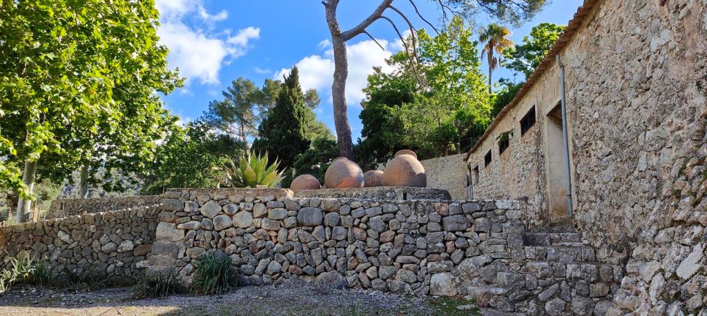 Vista de un espacio exterior con una pared de piedra, tres grandes tinajas de cerámica y un entorno natural de árboles y plantas.