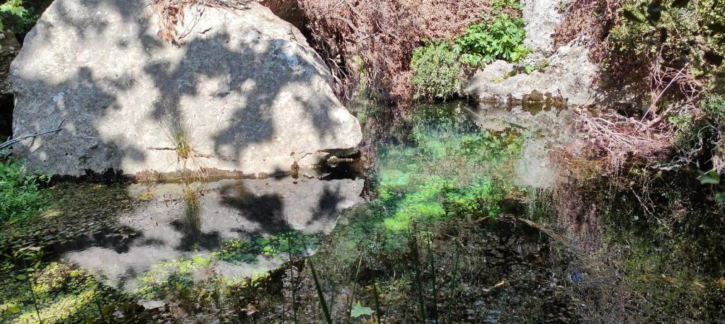 Pequeña charca natural rodeada de rocas y vegetación, reflejando el entorno en sus aguas claras y tranquilas.