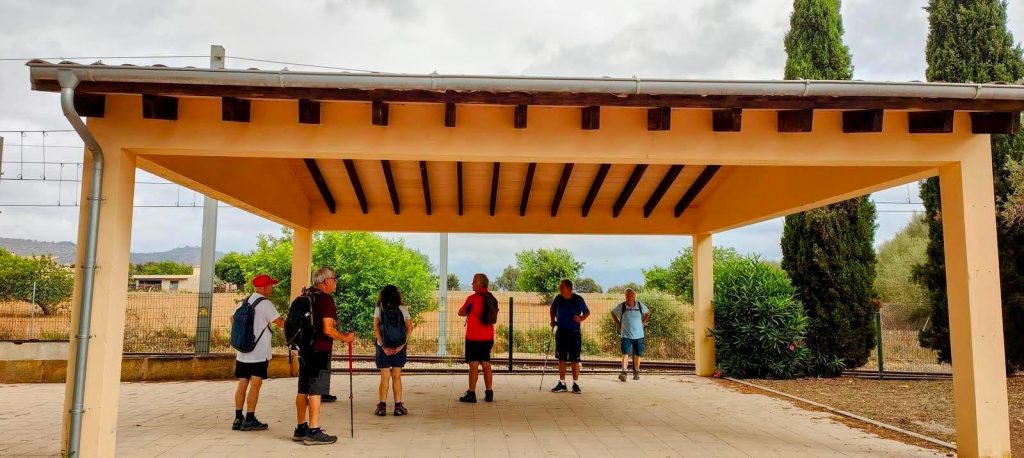 Grupo de personas bajo un refugio en Llubí, con vegetación y un paisaje de campo visible en el fondo.