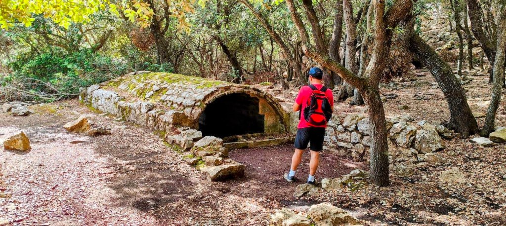 Hombre de espaldas frente a un aljibe cubierto, rodeado de árboles y hojas caídas.