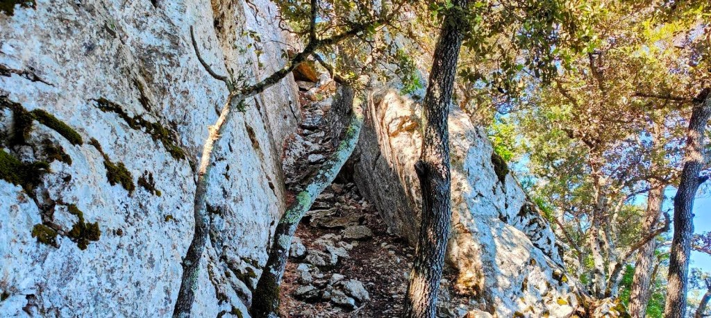 Vista de una estrecha grieta en la roca, rodeada de árboles y vegetación, ubicada en la ruta 'Comuna de Valldemossa por el Pas de la Fesa'.