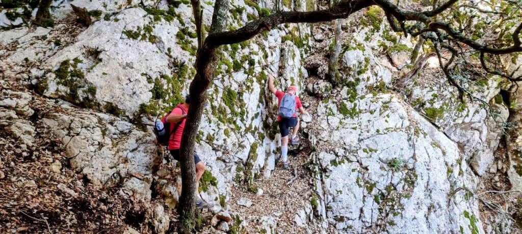 COMUNA DE VALLDEMOSSA por el Pas de Sa Fesa de Son&nbsp;Bauçà