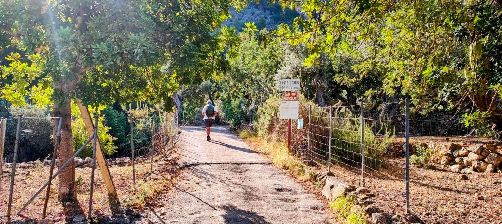 Camino de la ruta 'Font de Sa Mina desde Sóller', rodeado de árboles y vegetación, con un senderista avanzando por un camino pavimentado.