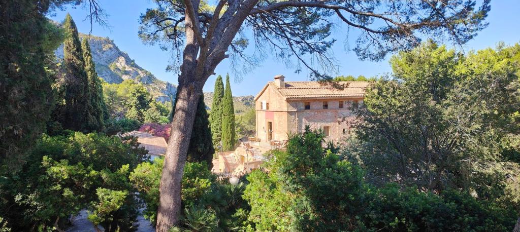 Vista de la Ermita de la Victoria rodeada de árboles y vegetación, situado en un entorno montañoso.