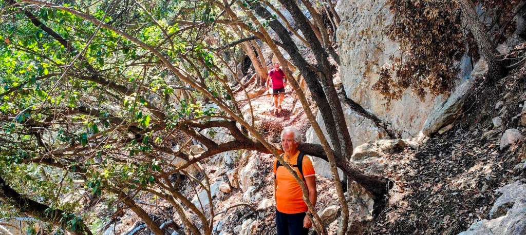 Sendero estrecho y rocoso rodeado de vegetación densa, con dos personas caminando por el Pas des Pi