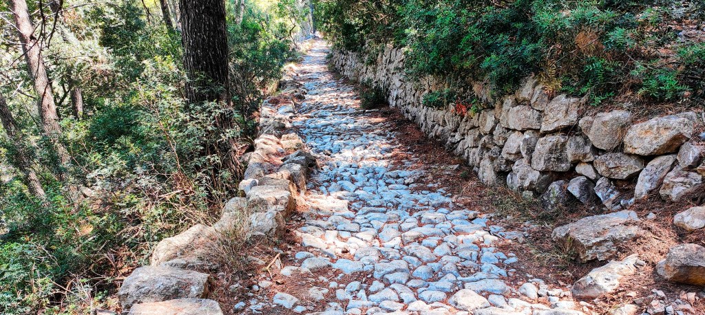 Sendero empedrado en la Serra de Muleta, rodeado de vegetación y piedras, utilizado para la ruta desde Sóller.