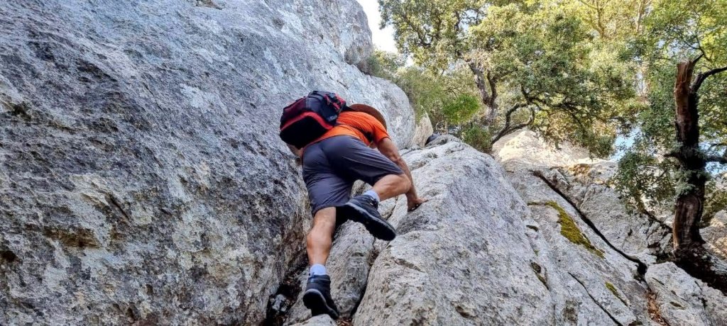 Un hombre subiendo por el Pas dels Ermitans en una ruta de senderismo, con un paisaje de árboles y acantilados al fondo.