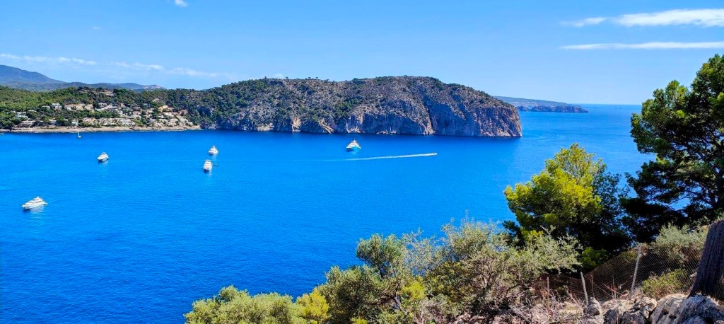 Vista panorámica de Camp de Mar con un mar azul y varios barcos navegando, rodeado de vegetación costera y montañas en el fondo.