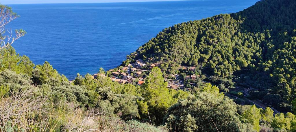 Vista panorámica del Puerto de Valldemossa desde el Camí de Sa Marina mostrando árboles verdes en el primer plano y el mar azul al fondo junto a la urbanización de Son Olesa.
