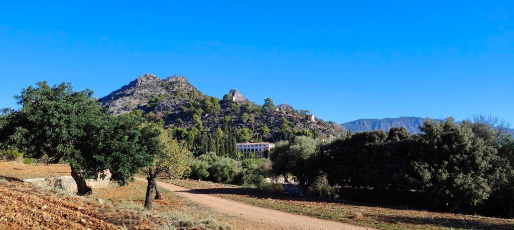 Vista panorámica que muestra un paisaje rural de Mallorca con montañas al fondo, un camino de tierra y árboles, destacando una edificación al borde del camino.