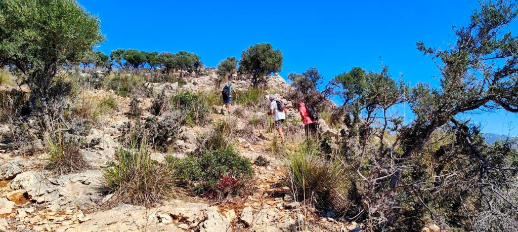 Personas caminando por un sendero rocoso y vegetado en la ruta Mola de Son Termes-Puig del Colomer, bajo un cielo azul.