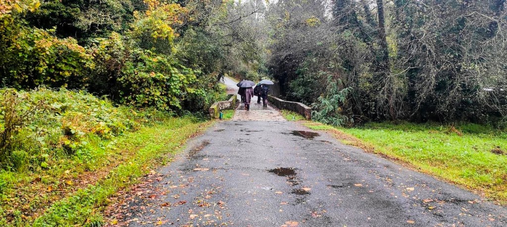 Dos personas caminando bajo paraguas por un camino en un entorno rural con vegetación abundante y un puente de piedra al fondo.