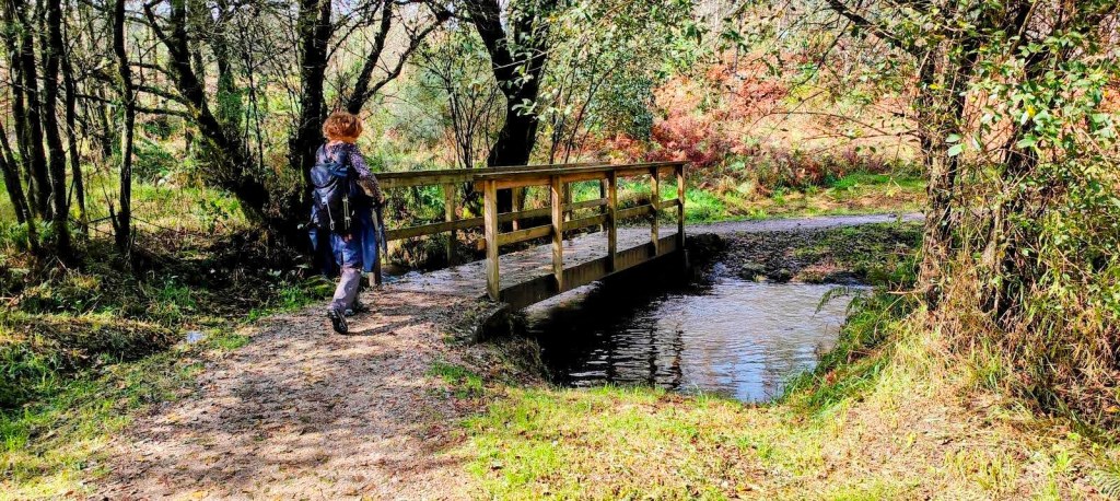 Una persona camina por un sendero rodeado de árboles, mientras atraviesa un puente de madera sobre un pequeño arroyo.