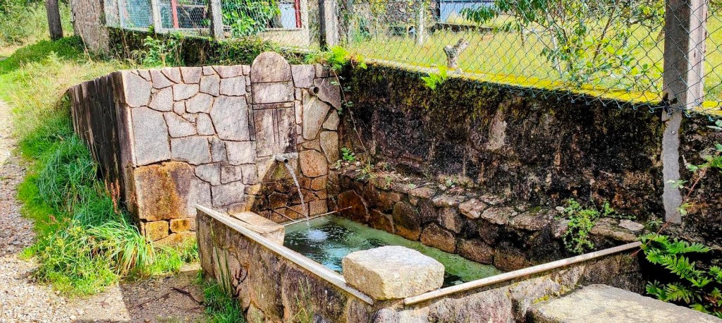 Fuente de agua construida con piedra, ubicada en un entorno rural con vegetación y cercada por una malla metálica.
