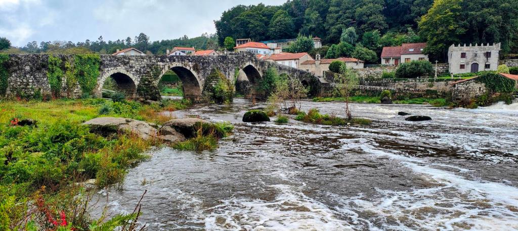 CAMINO DE FISTERRA-MUXÍA.-ETAPA 1: Santiago-Negreira