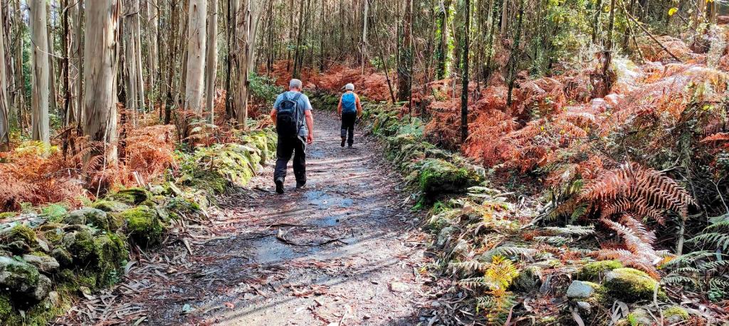CAMINO DE FISTERRA-MUXÍA.-ETAPA 4: Cruceiro Marco do Couto-San Roque&nbsp;(Finisterre)
