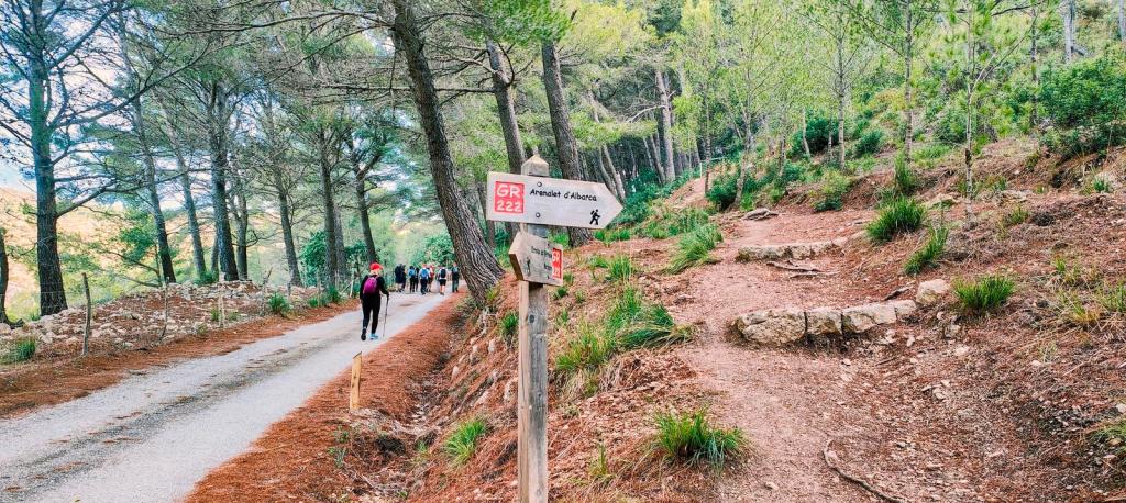 Sendero señalizado del GR 222 con un grupo de personas caminando por un camino rodeado de pinos en el Parque Natural de la Península de Llevant.