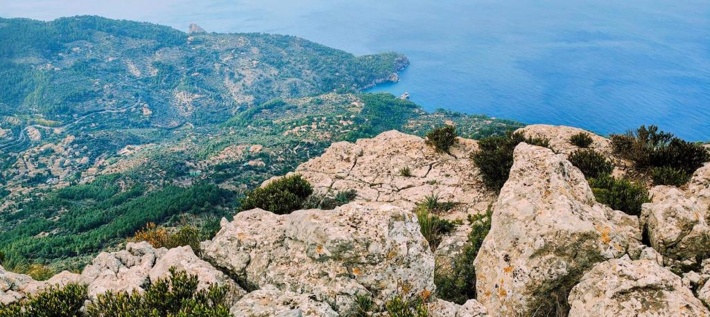 Puig de la Galera-Pas de Can Boqueta - Caminando por Mallorca Vista panorámica desde la cima del Puig de Sa Galera, con un paisaje montañoso que muestra bancales de olivos y el mar al fondo.