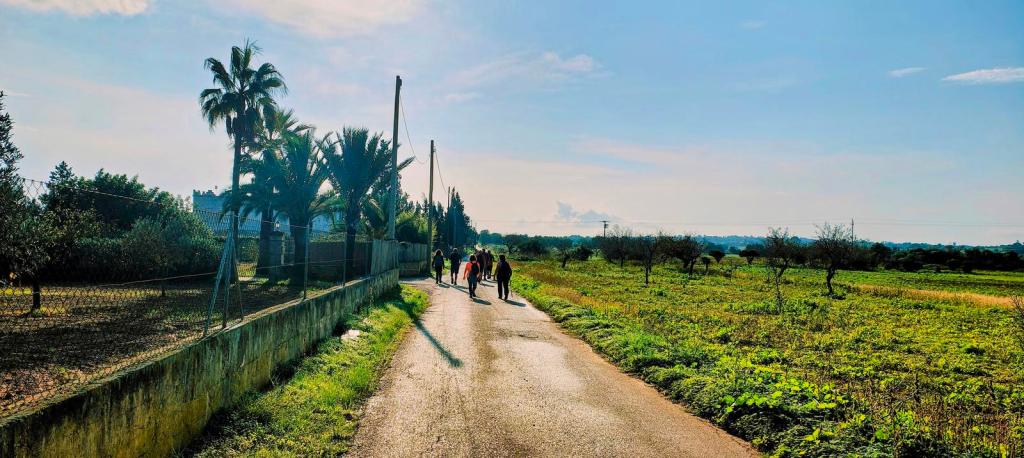 Grupo de personas caminando por un camino asfaltado en un entorno rural con palmeras y campos verdes en Porreres.