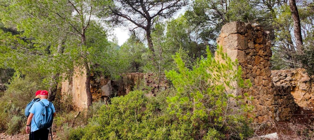 Un caminante de espaldas explora las ruinas de una antigua construcción en un entorno boscosa, con árboles y vegetación abundante alrededor.