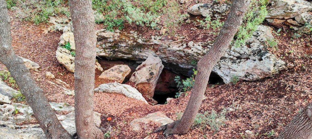 Vista aérea de una cueva natural rodeada de rocas y árboles, con hojas secas en el suelo.