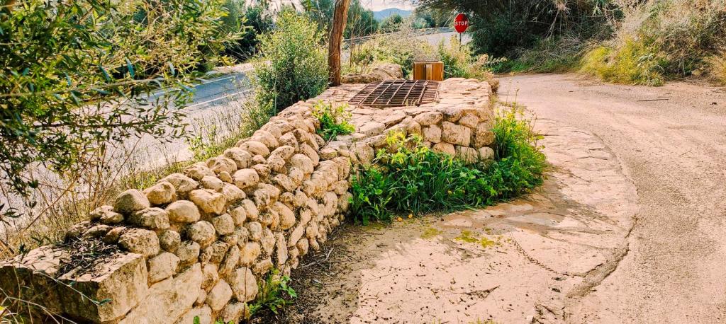 Vista del Pou des Pagos, un pozo restaurado con un cuello rectangular y una rejilla metálica, rodeado de vegetación y con una carretera cercana.