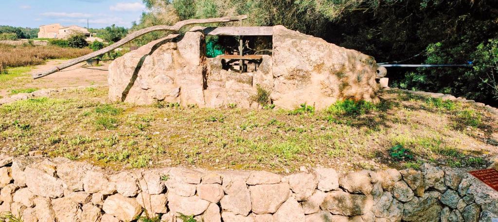 Vista de una noria de piedra parcialmente restaurada en un entorno agrícola, rodeada de hierba y vegetación, con maderas que forman parte de la estructura.