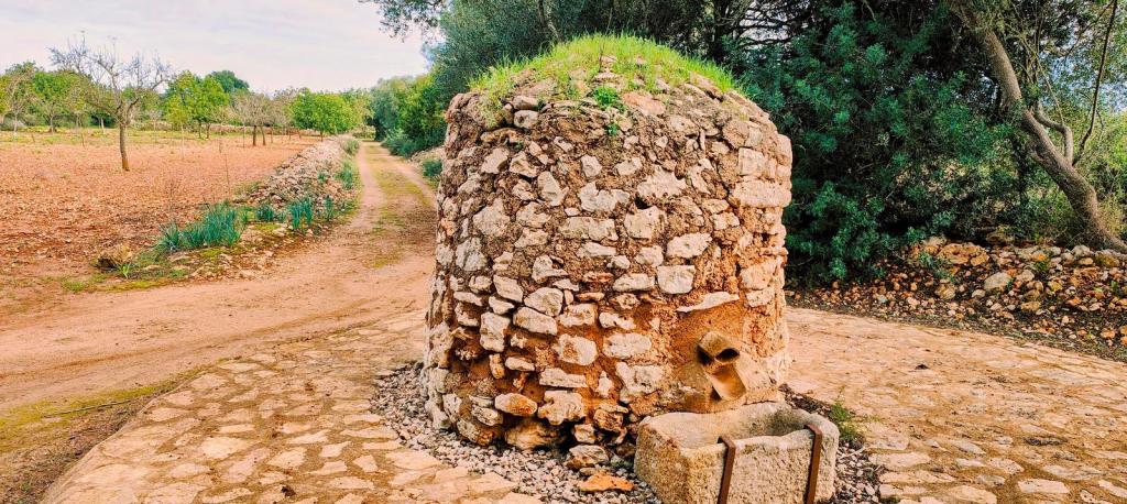 RUTA HIDRÁULICA 2 de&nbsp;Porreres