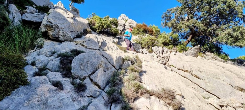 Puig del Tossals Verd desde Cúber - Caminando por Mallorca Persona escalando por un terreno rocoso durante la ruta hacia el Puig del Tossals Verd, con vegetación y un cielo azul al fondo.