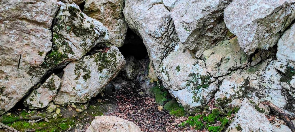 Entrada de una cueva formada por grandes rocas en un paisaje natural, con musgo y hojarasca en el suelo.