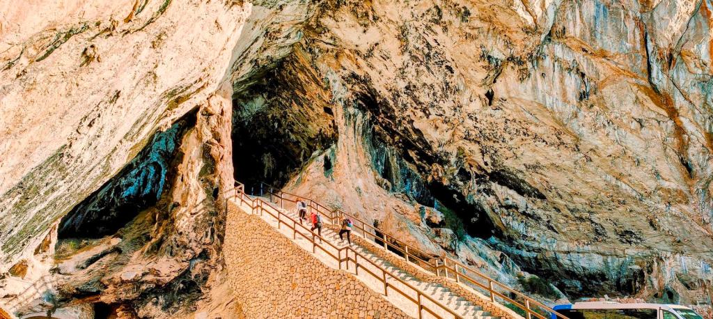Vista de la entrada a las Cuevas de Artá, con escaleras de madera que conducen a su interior, rodeadas de paredes rocosas y vegetación.