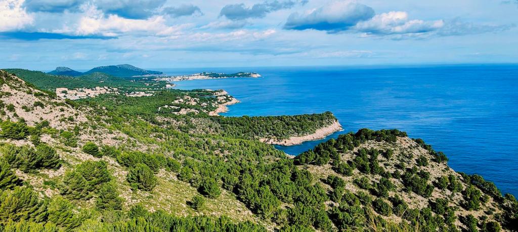 Vista panorámica de la costa de Canyamel con vegetación densa y el mar Mediterráneo en el fondo, bajo un cielo parcialmente nublado.