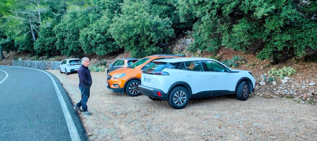 Un hombre de pie junto a un grupo de coches aparcados en un camino cercano a un bosque en Mallorca.