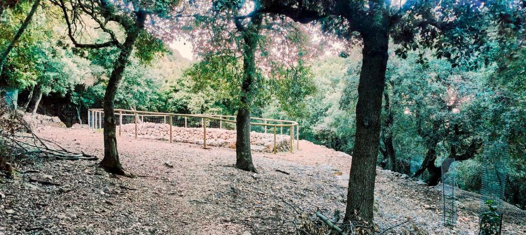 Vista de un área boscosa con un cercado de madera que delimita una estructura de piedras, posiblemente una casa de nieve, rodeada de árboles.