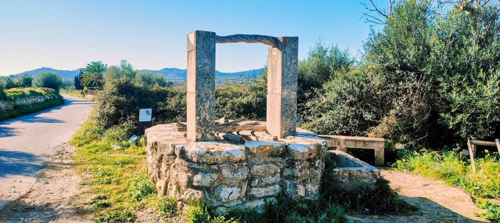 Ruta Hidráulica 3 de Porreres - Caminando por Mallorca Vista de un pozo de piedra con un cuello rectangular, rodeado de vegetación en un entorno rural, ubicado en la Ruta Hidráulica 3 de Porreres.