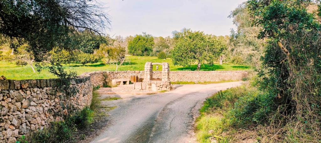 Ruta Hidráulica 3 de Porreres - Caminando por Mallorca Vista de un cruce de caminos en un entorno natural, rodeado de murallas de piedra y vegetación, mostrando un camino de tierra que se bifurca hacia la derecha, con árboles y campos verdes al fondo.