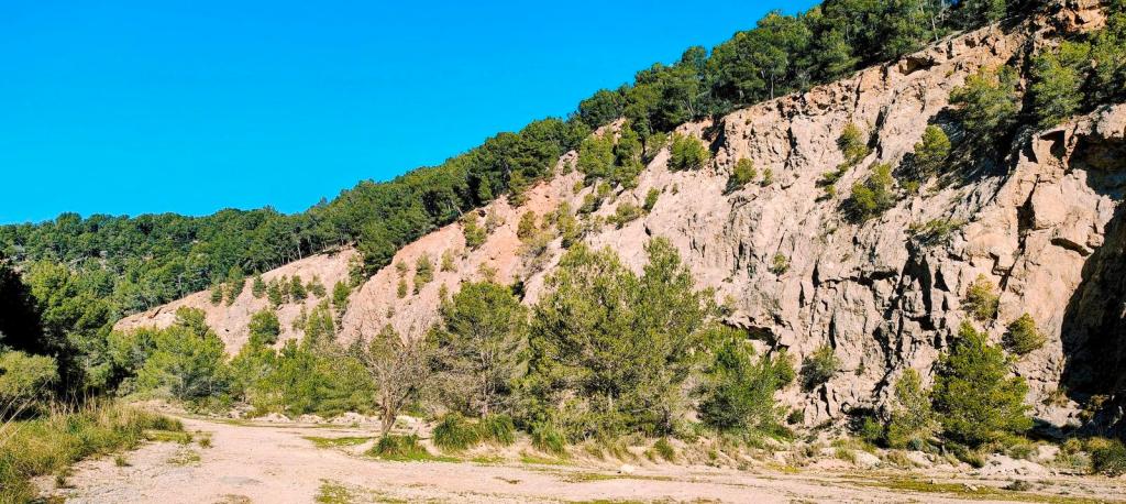 Vista del paisaje montañoso cerca del camino en la ruta Puig de la Coma Fosca, mostrando rocas expuestas y vegetación de pinos.