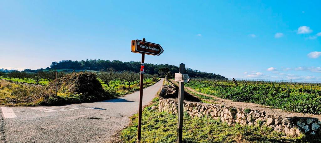 Señal en una intersección de caminos hacia el Camí de Son Drago, rodeada de campos de cultivo y un cielo despejado.