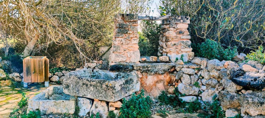 Vista de un antiguo pozo de piedra con un entorno natural lleno de vegetación, incluyendo árboles y arbustos, y un recipiente de madera al lado.