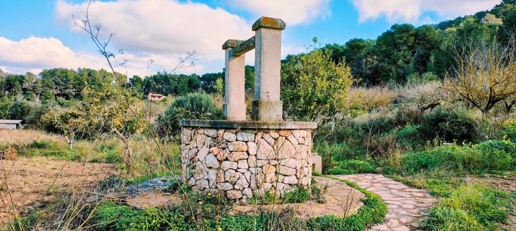Vista de un pozo restaurado en un entorno natural, rodeado de vegetación y un camino de piedra.