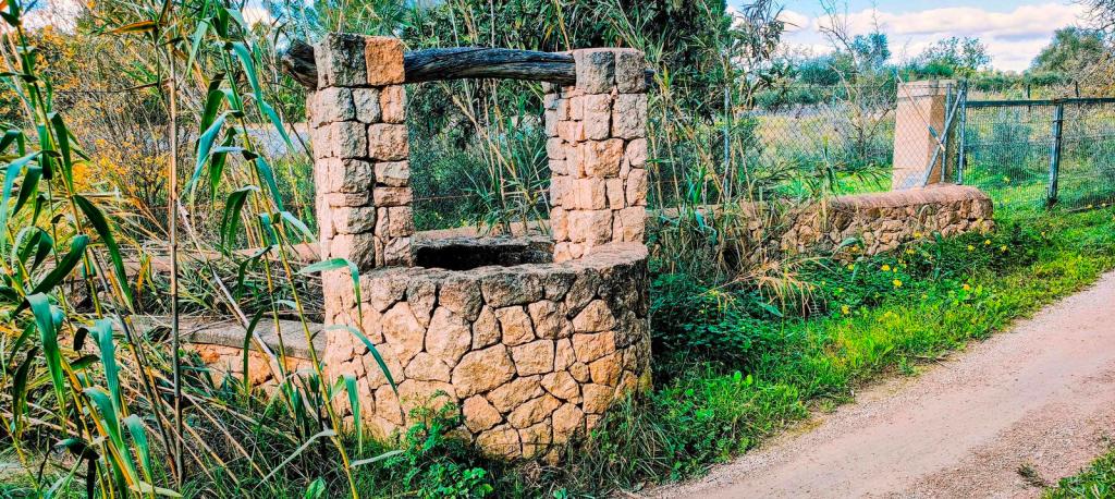 Vista de un pozo de piedra rectangular rodeado de vegetación y un camino de tierra cercano.