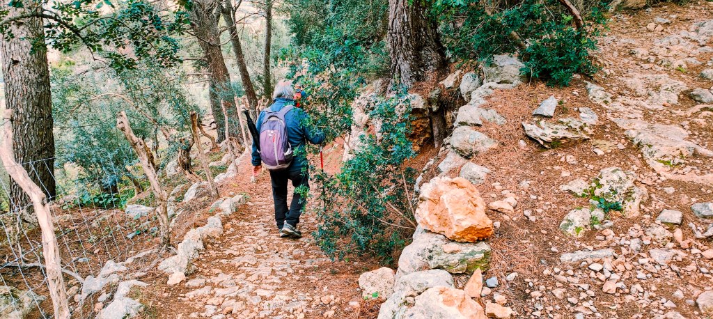 Persona caminando por un sendero rodeado de árboles en una ruta de montaña.